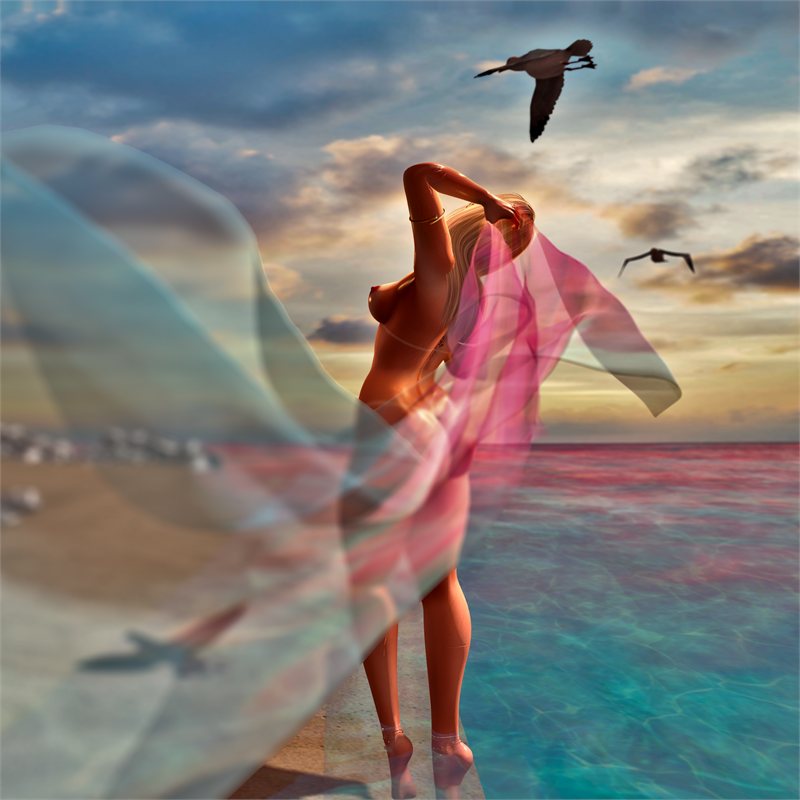 2025 November - Alice